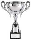Golden Trophy - SSC Toppers 2014 - DR. NIK